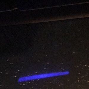 Meet your Posher, Parris